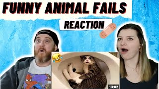 FUNNY ANIMAL FAILS #3 @DDOLOL | HatGuy & Nikki react