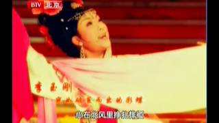 Video thumbnail of "李玉剛-南飛雁"