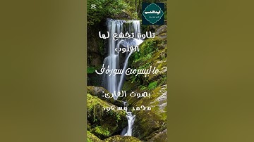 تلاوة عطرة بصوت القارئ محمد مسعود