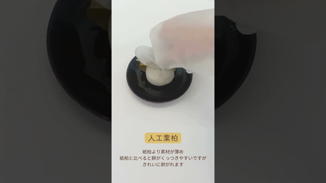 柏の葉（人工柏葉）｜和菓子・柏餅の葉｜熊木産業