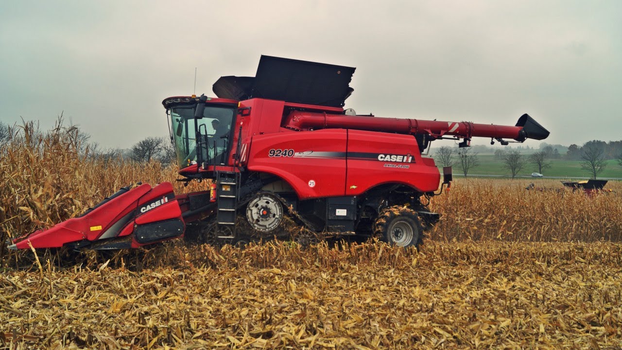 maxresdefault Dwa giganty w kukurydzy. Kombajny Case IH 9240 i 8240 na polach CGFP