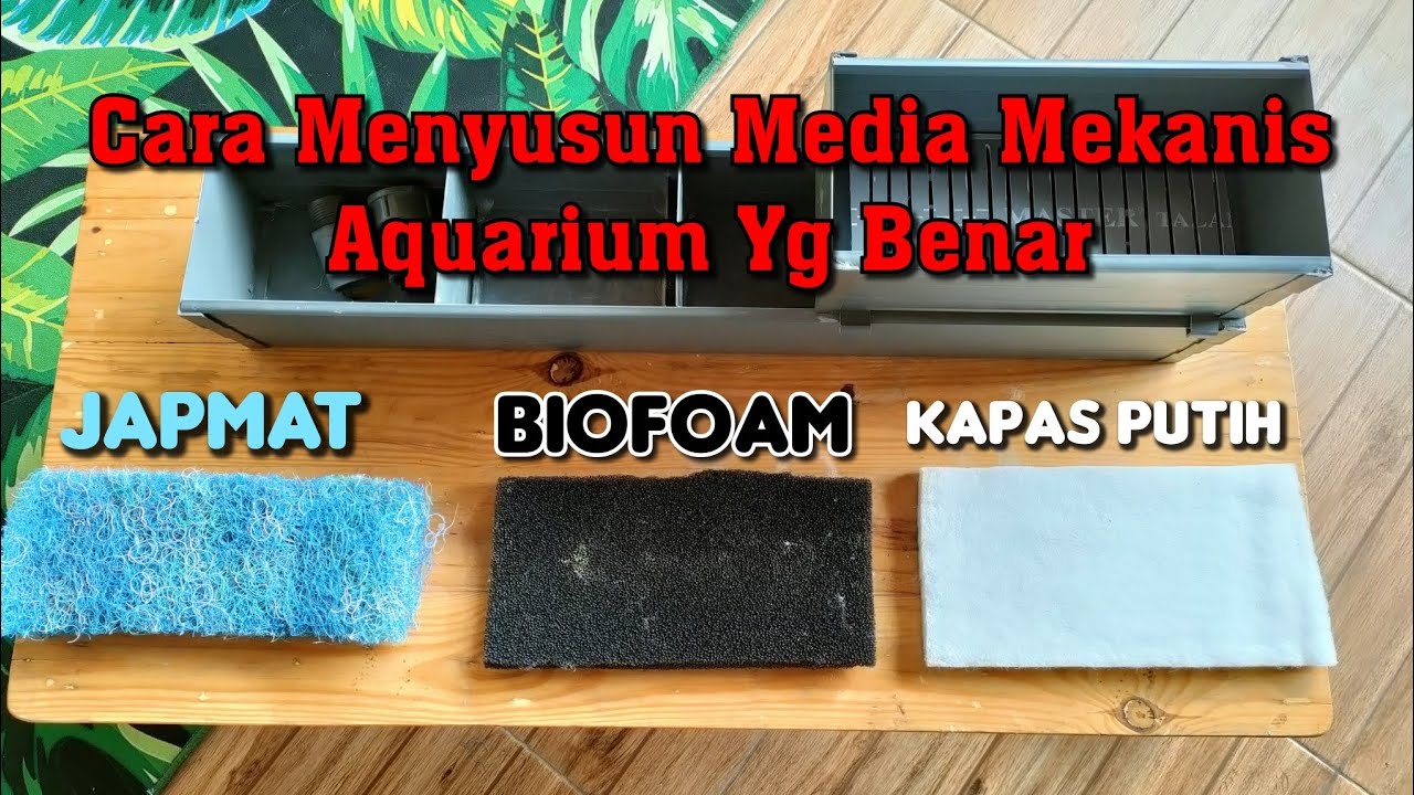 Cara Menyusun Filter Mekanis Aquarium Yang Benar YouTube