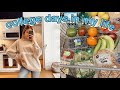 college vlog: classes, apartment updates & healthy grocery haul | maddie cidlik