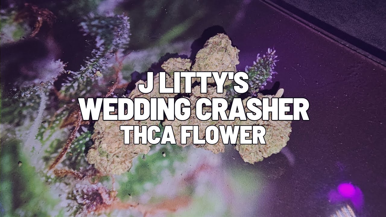 J Litty Wedding Crasher (24.4 THCa) Flower Review: A Tasty Favorite!