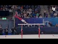 Joe Fraser's Technical Mastery on Parallel Bars in the All-Around