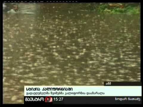 22/12/10 სტიქია კალიფორნიაში