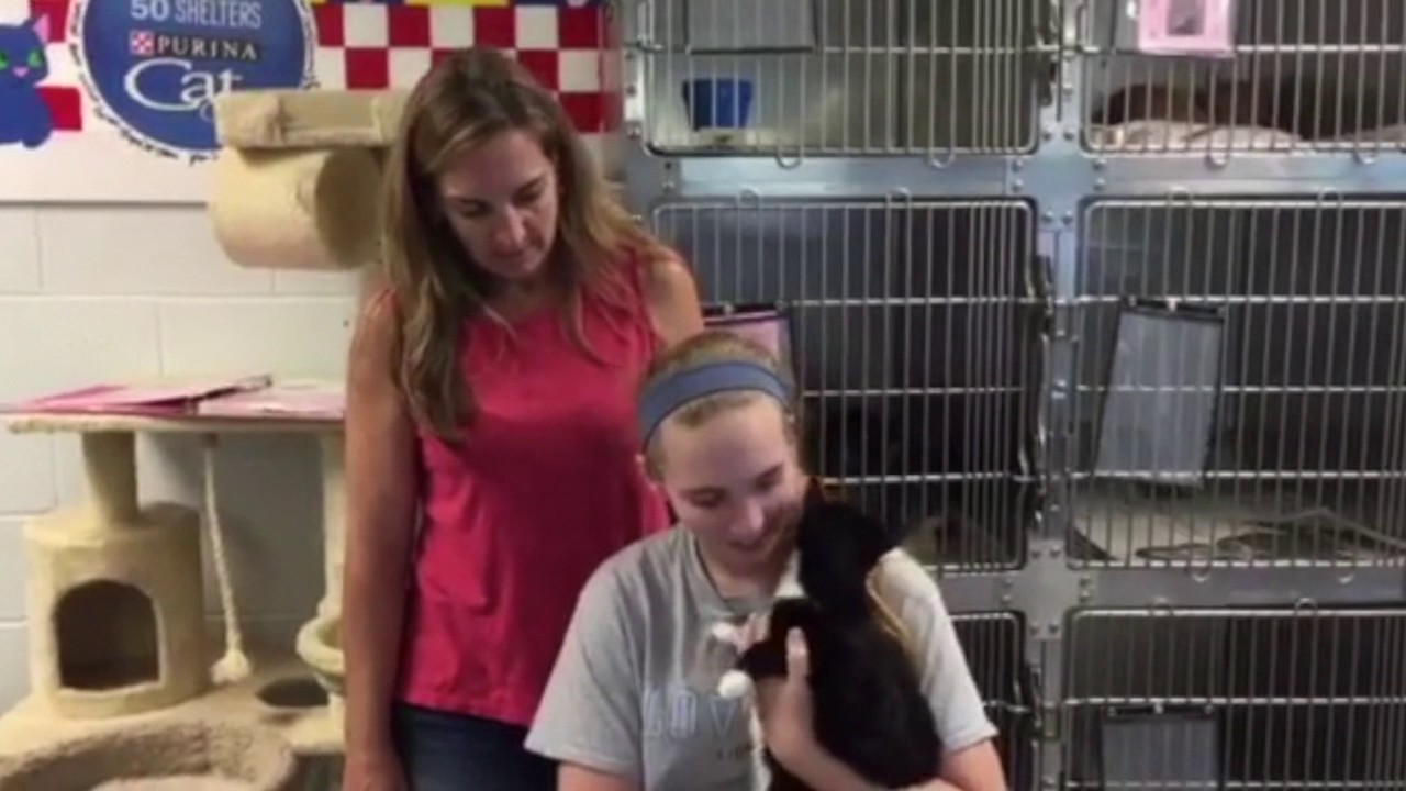 cats inn Why did you choose to adopt from Fulton County Animal Services?