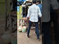 #வலையாங்குளம் கருப்பசாமி கோயில்  மதுரை
