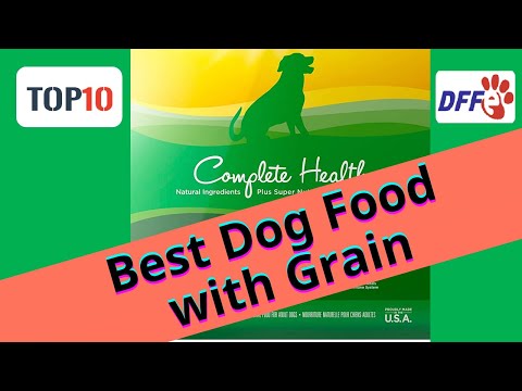 Top10 Best Dog