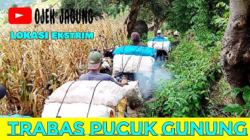 OJEK JAGUNG BIRINGBULU || Lokasi Ekstrim
