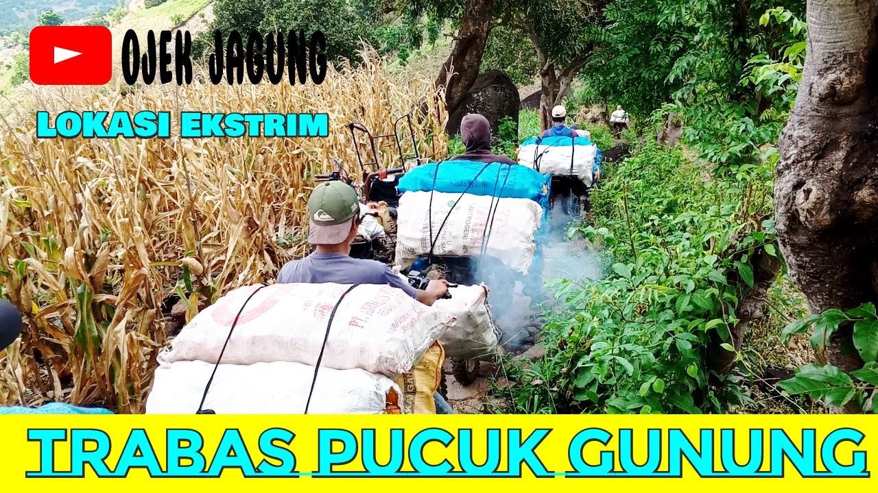 OJEK JAGUNG BIRINGBULU || Lokasi Ekstrim
