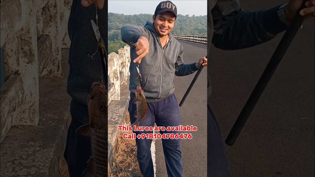 All Rounder Lure gives 100% Results 