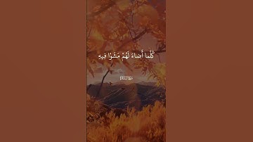 يكاد البرق يخطف أبصارهم | تلاوة مبهرة للشيخ عبدالباسط 🎙️✨