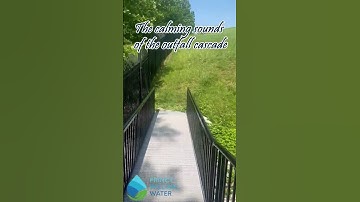 Thumbnail of The Calming Sounds of the Outfall Cascade #watersounds #relaxingsounds #WaterTreatment