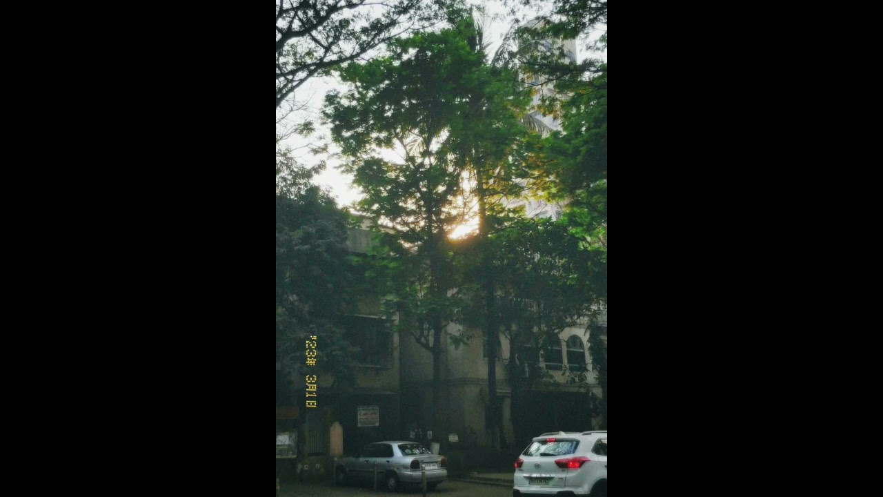 (FREE) - joy again x starry cat type beat 