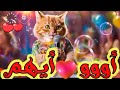 اغنية باسم ايهم حبيبي قطط كيوت السعودية ابوظبي تركيا العراق قطر مسقط البحرين الجزائر دبي جده الكويت اغنية باسم ايهم حبيبي قطط كيوت السعودية ابوظبي تركيا العراق قطر مسقط البحرين الجزائر دبي جده الكويت