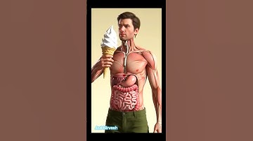 3D Human Digestive System in ActionRealistic Anatomy with Parasite WormsAnimation #3danimation