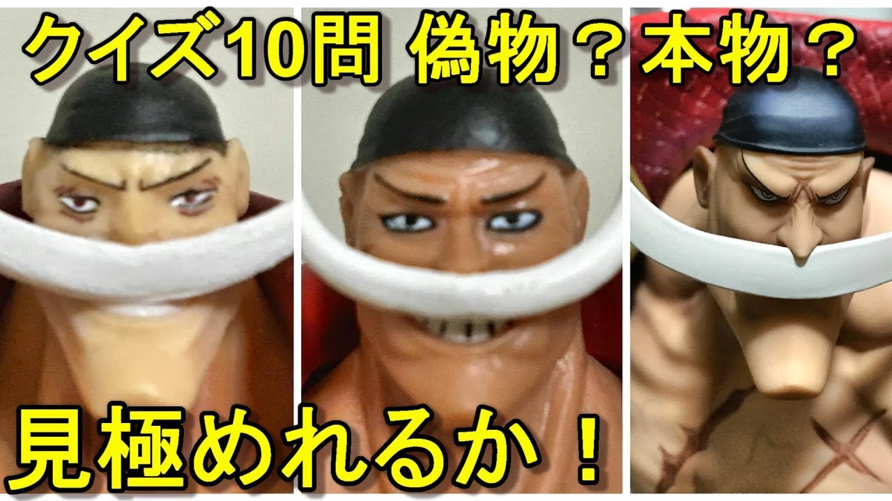 フィギュア好きは挑戦 コレクターとしてのレベルが分かる ワンピースフィギュア Onepiece Figure Youtube