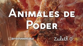 Animales de Poder #canalizacion