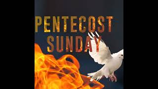 2024-05-19 Pentecost the gift of the Holy Spirit  (Murray Carver)