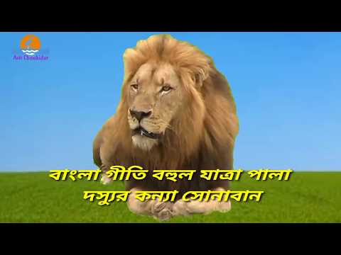 বাংলা গীতি বহুল যাত্রা পালা দস্যুর কন্যা সোনাবান Dashyur Kanya Sonaban Bangla Jatra Pala