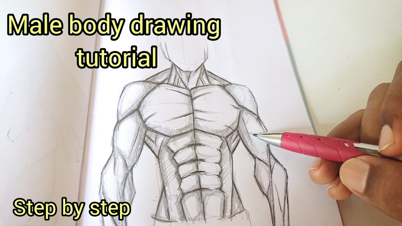 how to draw male body step by step easy tutorial YouTube