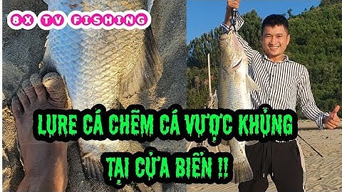 CÂU LURE CÁ CHẼM CÁ VƯỢC TẠI CỬA BIỂN LÊN HÀNG KHỦNG PHÊ LÒI RỐN | 8X TV FISHING
