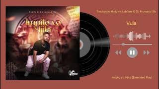 Trechyson Molly vx, Lah’Vee & DJ Promatic SA - Vula 