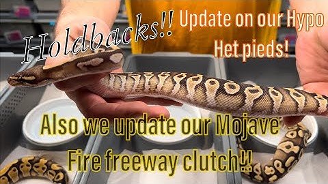 2022 Clutches 1 & 2 Secondary Updates