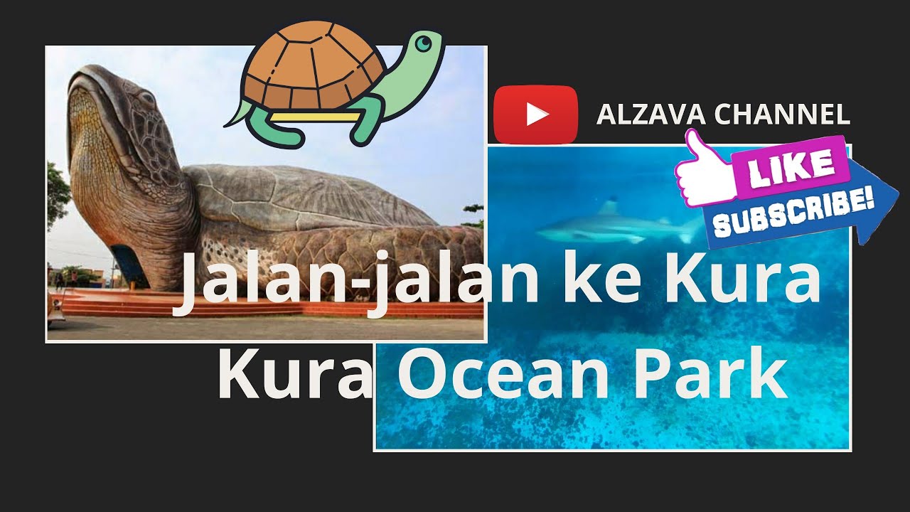 Jalan Jalan Ke Kura Kura Ocean Park Jepara Youtube