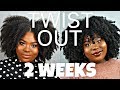 TWIST OUT MAINTENANCE FOR 2 WEEKS -- WEEKLY TO BIWEEKLY ROUTINE | Bubs Bee
