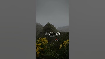 ما تيسر من سورة القصص | بصوت القارئ محمد اللحيدان