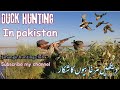 Duck hunting in pakistan  with shebi and mansoor  jahangir hunting club