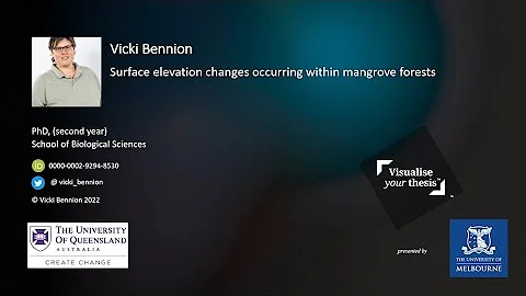Visualise Your Thesis 2022 - Vicki Bennion - Surfa...