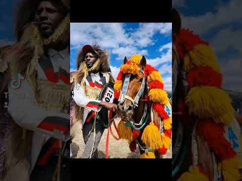 Sirba Gabaabaa Afaan Oromoo