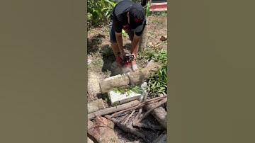 cưa cây xài pin milwaukee