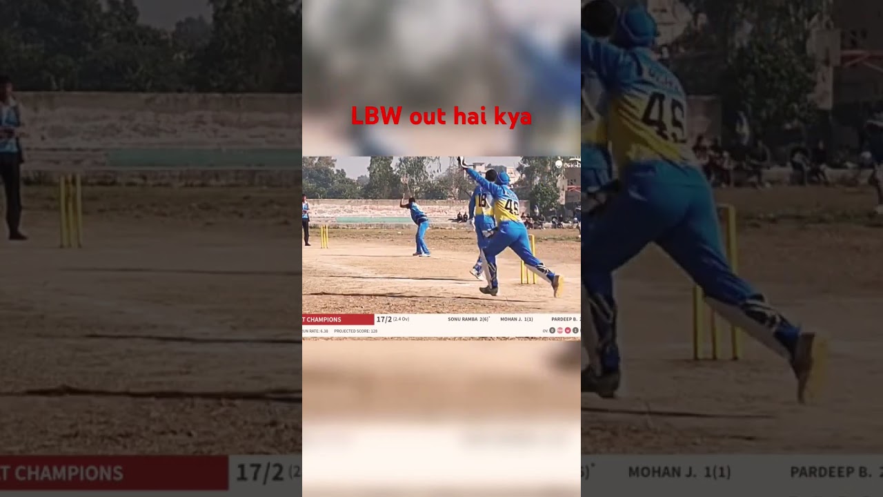 #cricket
