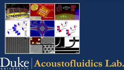 Rotational manipulation of single cells and organisms using acoustic wave