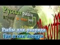 Хризихт.  Трофей  Малоротый сом.  База Конго. Русская рыбалка 3.7.4