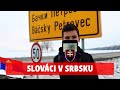 Slováci v Srbsku | Báčsky Petrovec a okolie