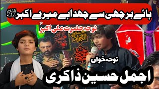 Noha Ali Akbar | Haye Barchi Say Chida Hai Mery Akbar Ka Jigar | Ajmal Hussain Zakir
