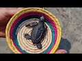 Liberando Tortugas en Acapulco