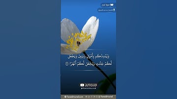 تلاوة جميلة من الشيخ المقرئ الفقيه محمد السبيل، رحمة الله عليه