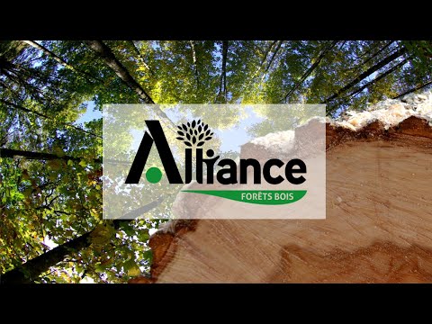 ALLIANCE FORÊTS BOIS : la passion de la forêt !