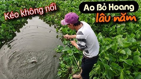 Thử câu cá trong ao bỏ hoang lâu năm không ngờ trúng ổ cá khủng khiếp