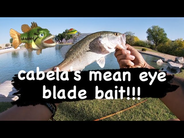 cabela's mean eye blade bait saves the day!!!!! 