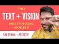 Tiny text  vision models  fine tuning and api setup