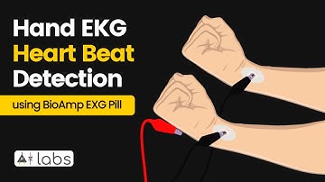 Hand EKG heartbeat detection | BioAmp EXG Pill