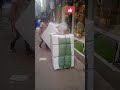 कुत्ते ने बॉक्स डिस्पैच किया /the dog despetched box 🤣🤣😜#shortsfeed #funny #doglover