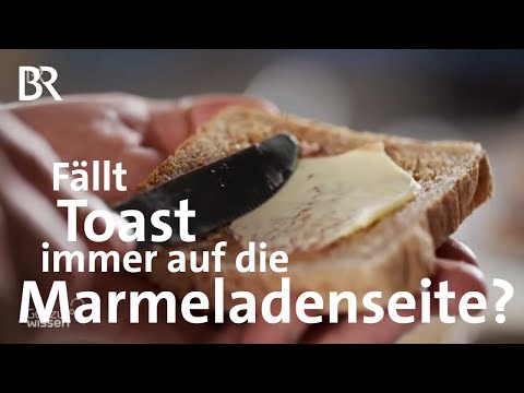 Video: Wie Man Lernt, Toast Zu Sagen